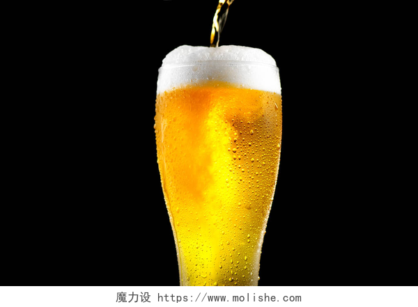 啤酒倒入杯中的特写镜头冷工艺轻的啤酒在玻璃与水下落反对黑背景